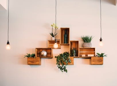 专业摔跤训练基地项目